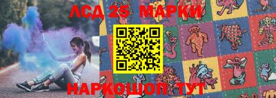 прущие грибы Гатчина