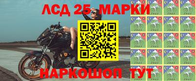 прущие грибы Гатчина