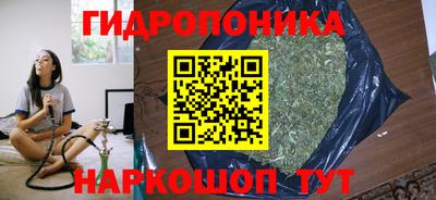 дурь Славгород