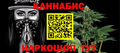 прущие грибы Гатчина